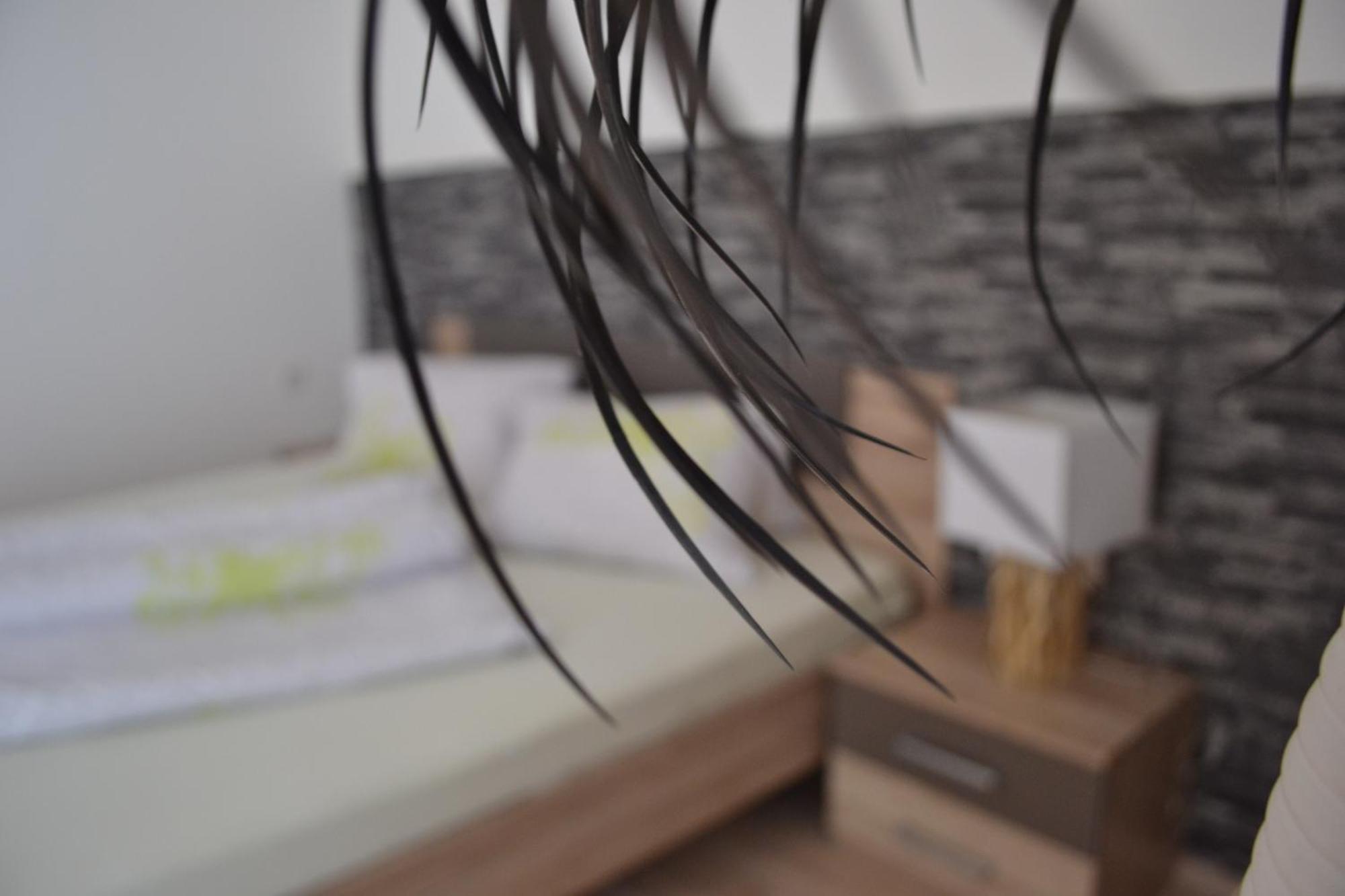 Appartement Thermenzeit Längenfeld Eksteriør billede